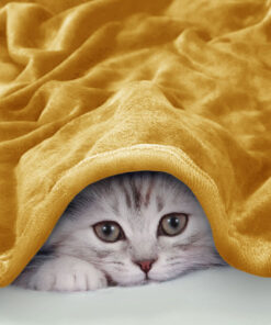 SanteLinen Κουβέρτα Υπέρδιπλη Flannel Gold 4